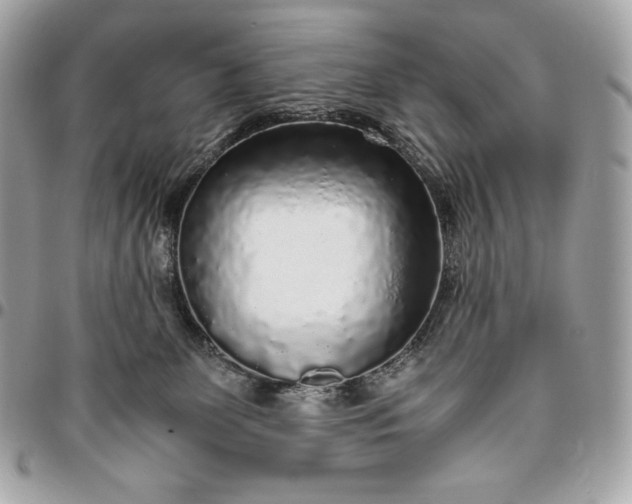 X0000096420131200802071711