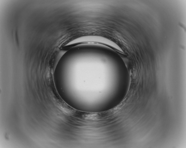 X0000096420132200802071711