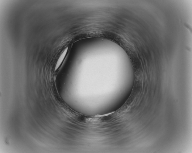 X0000096420133200802071711