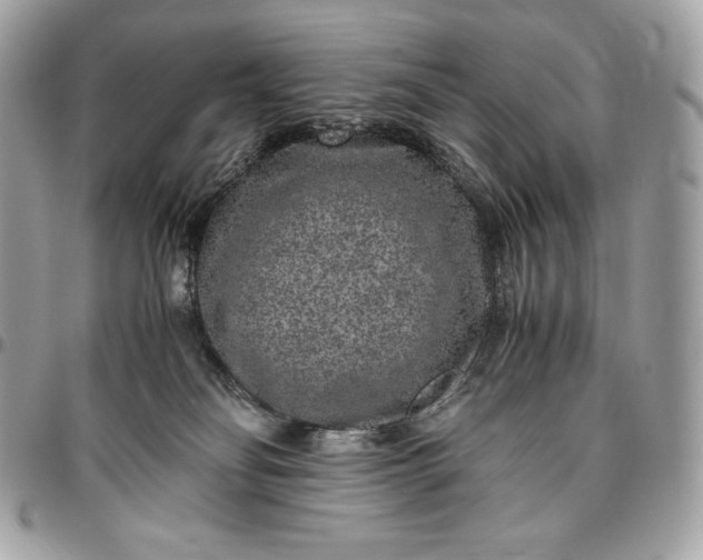 X0000096420134200802071711