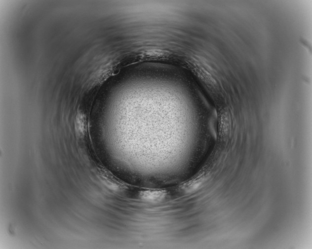 X0000096420135200802071711