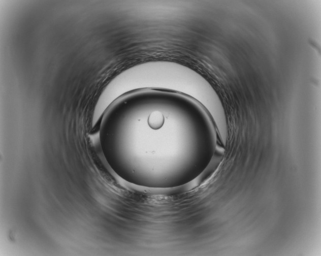 X0000096420136200802071711