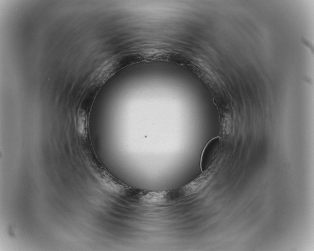 X0000096420138200802071711