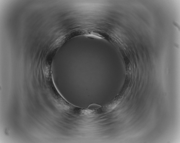 X0000096420139200802071711