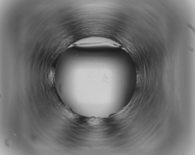 X0000096420142200802071711