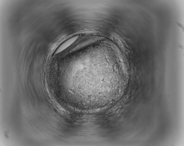 X0000096420145200802071710