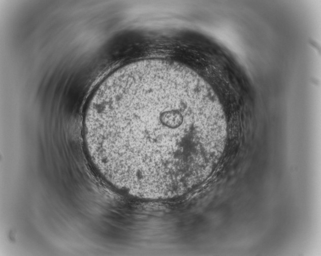 X0000096420146200802071710