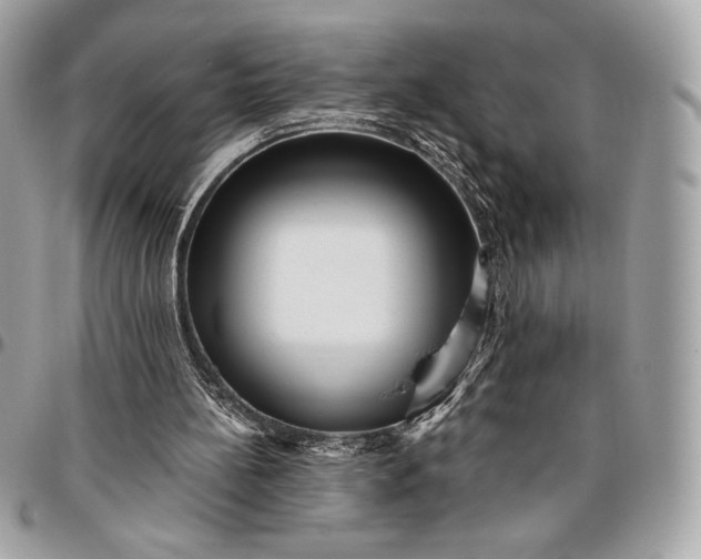 X0000096420148200802071710