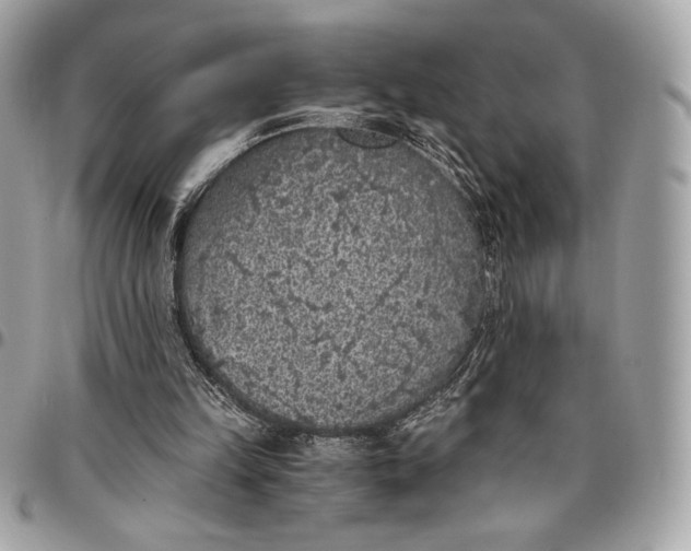 X0000096420149200802071710