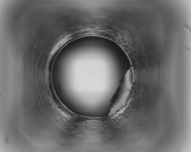 X0000096420150200802071710