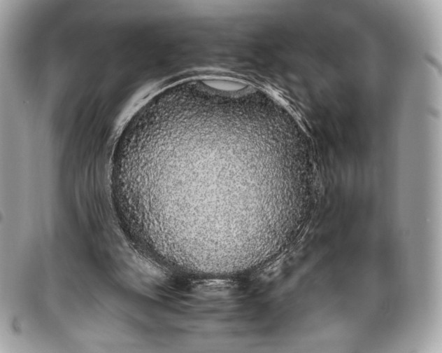 X0000096420151200802071710