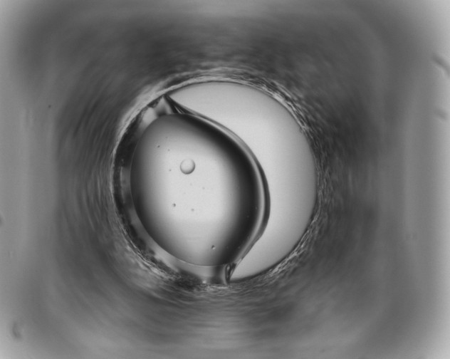 X0000096420152200802071710