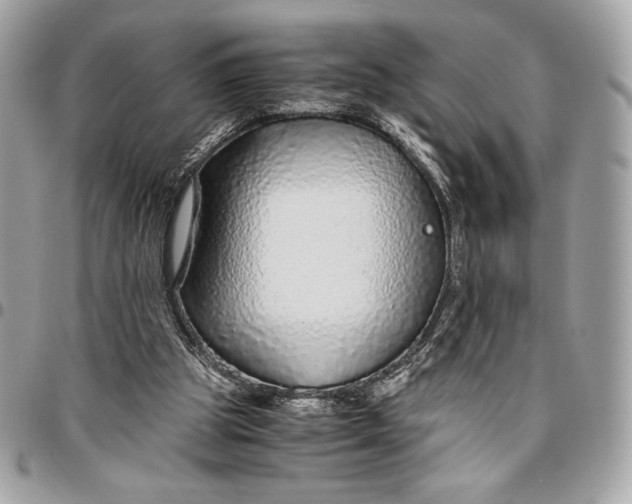 X0000096420153200802071710