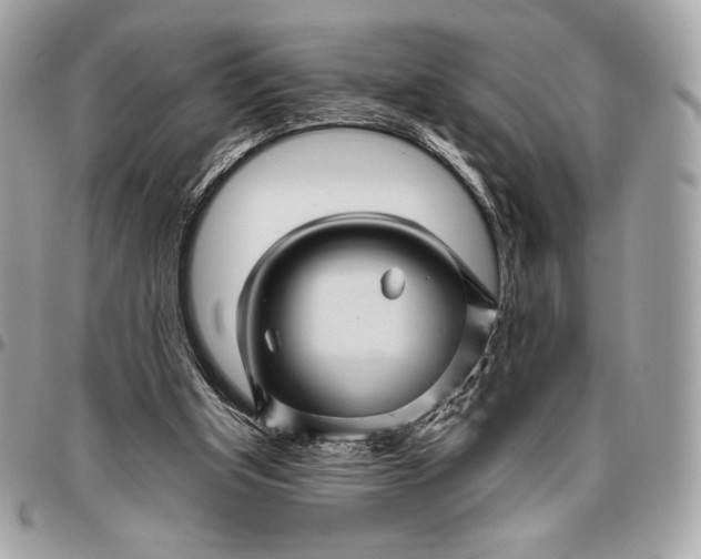 X0000096420154200802071711