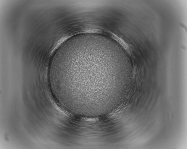 X0000096420155200802071711