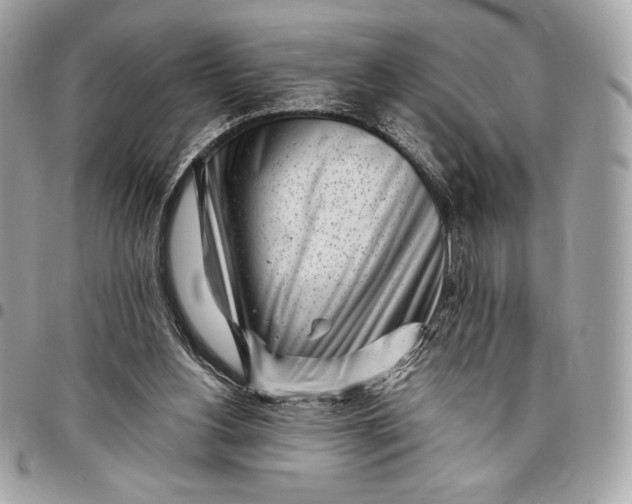 X0000096420156200802071711