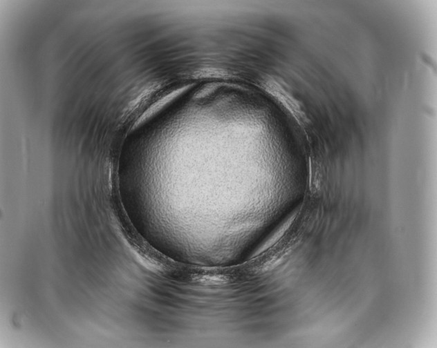 X0000096420157200802071711