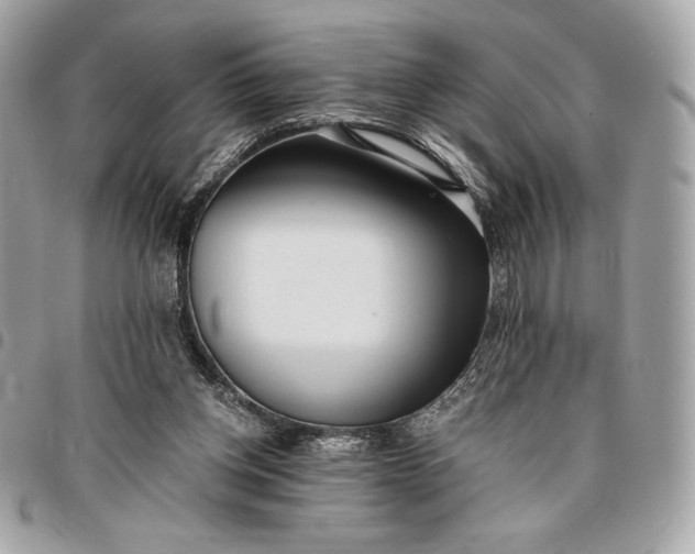 X0000096420158200802071711