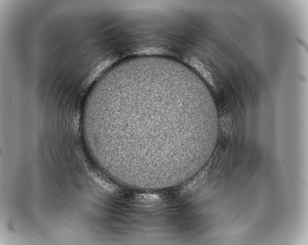 X0000096420159200802071711