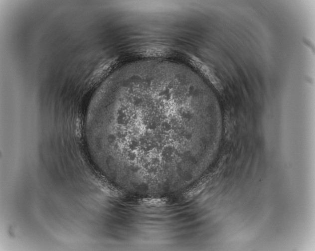 X0000096420161200802071711