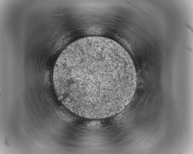 X0000096420162200802071711