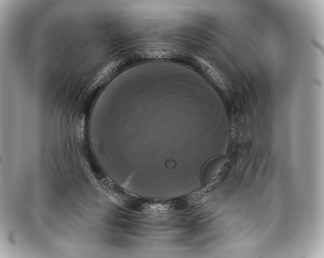 X0000096420163200802071711