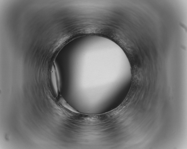 X0000096420164200802071711