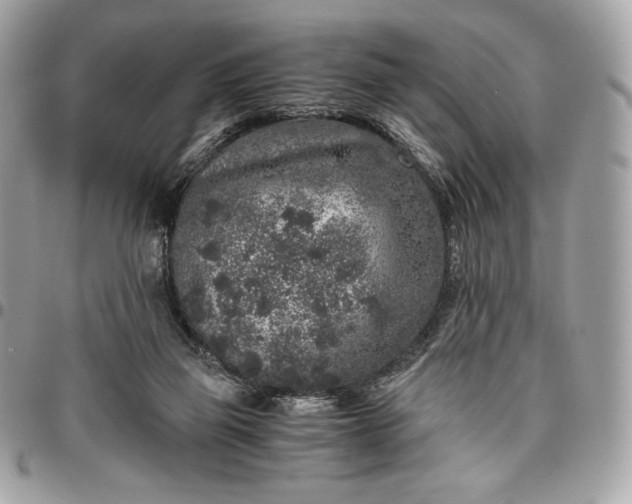 X0000096420165200802071711