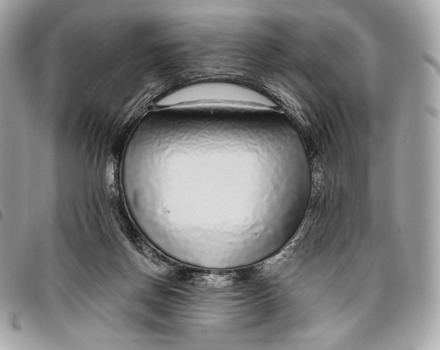 X0000096420166200802071711