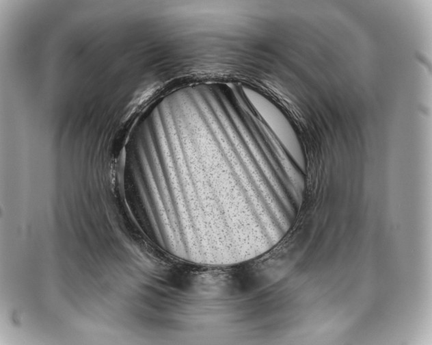 X0000096420168200802071711