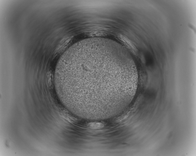 X0000096420169200802071711