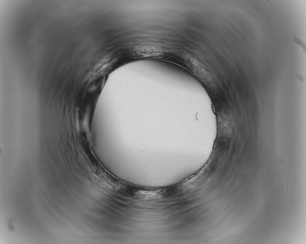 X0000096420170200802071711