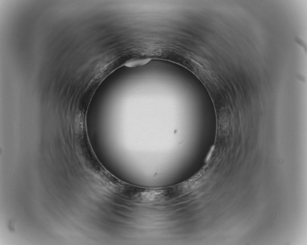 X0000096420172200802071711