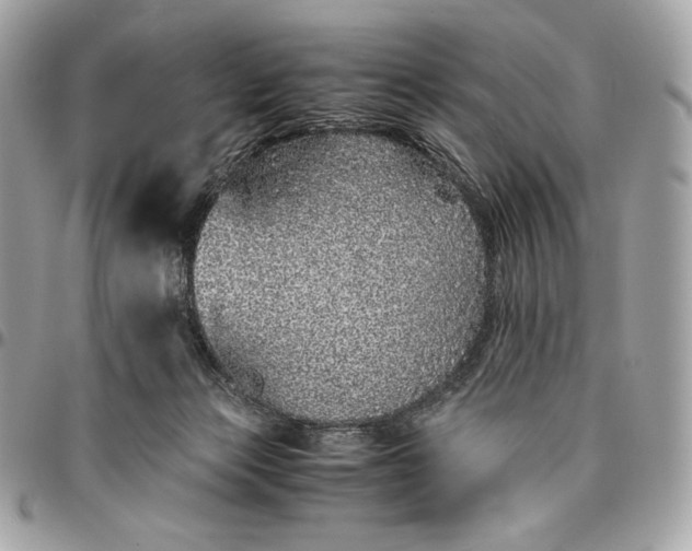 X0000096420173200802071711