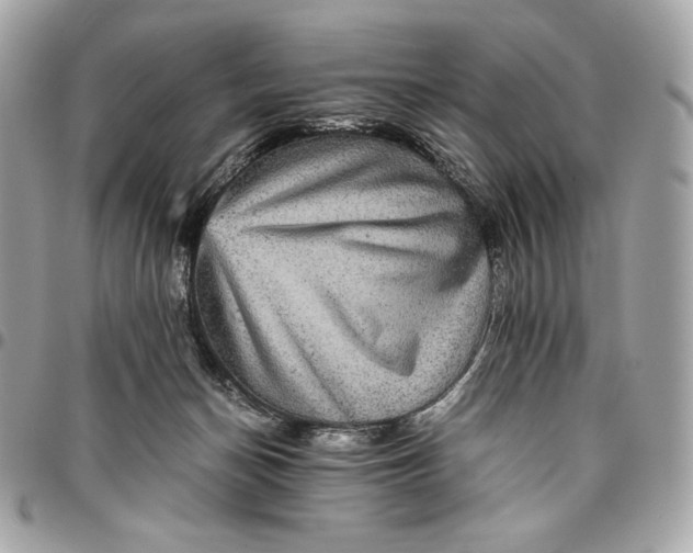 X0000096420174200802071711