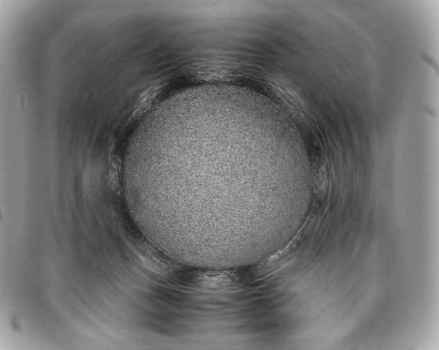 X0000096420175200802071711