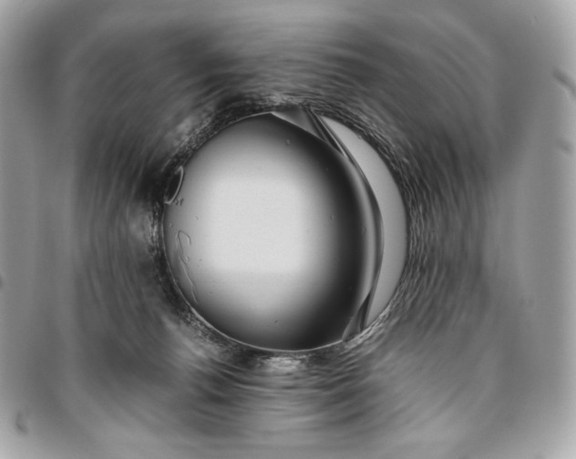 X0000096420176200802071711