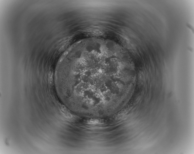 X0000096420177200802071711