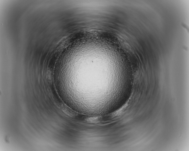 X0000096420178200802071711