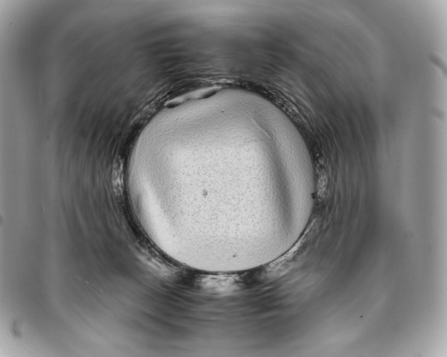 X0000096420179200802071711