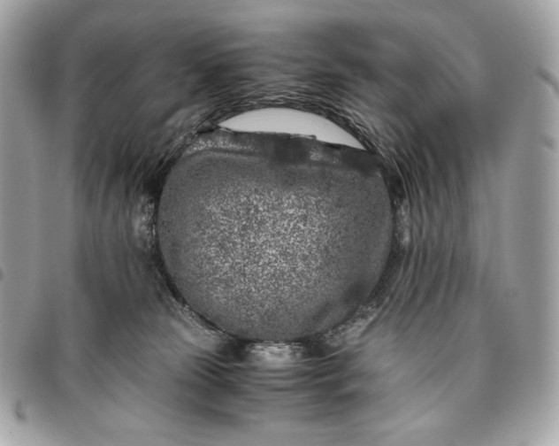 X0000096420181200802071711