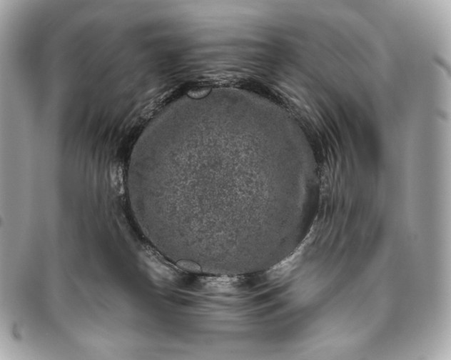 X0000096420182200802071711