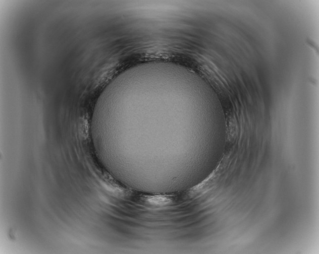 X0000096420183200802071711