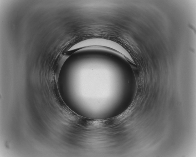 X0000096420184200802071711