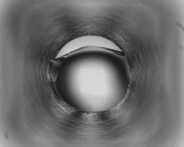 X0000096420186200802071711