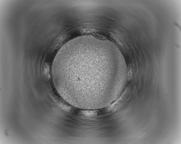 X0000096420187200802071711