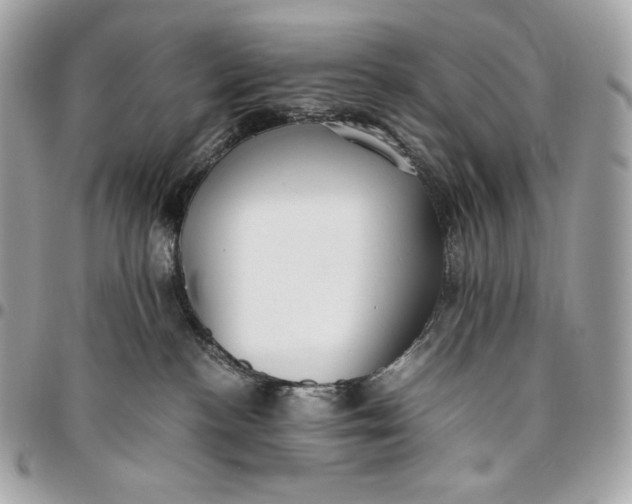 X0000096420188200802071711