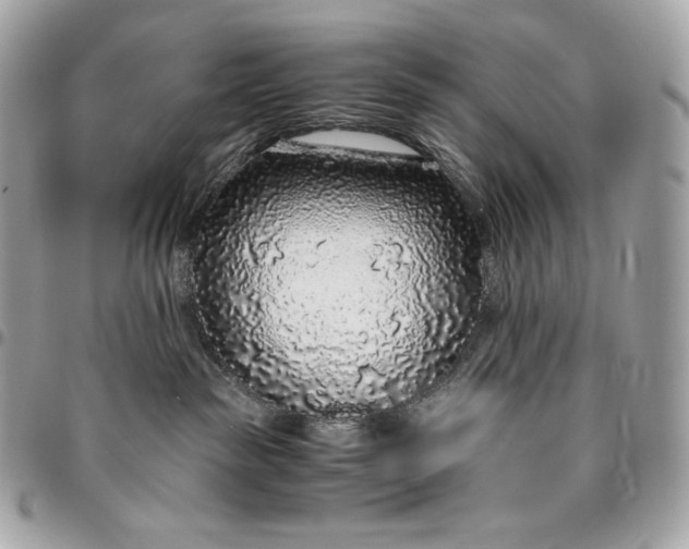 X0000096420189200802071711