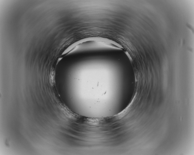 X0000096420190200802071711