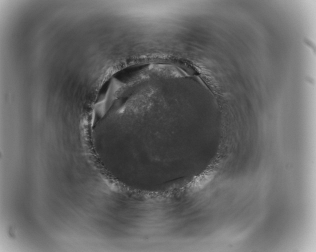 X0000096420192200802071711